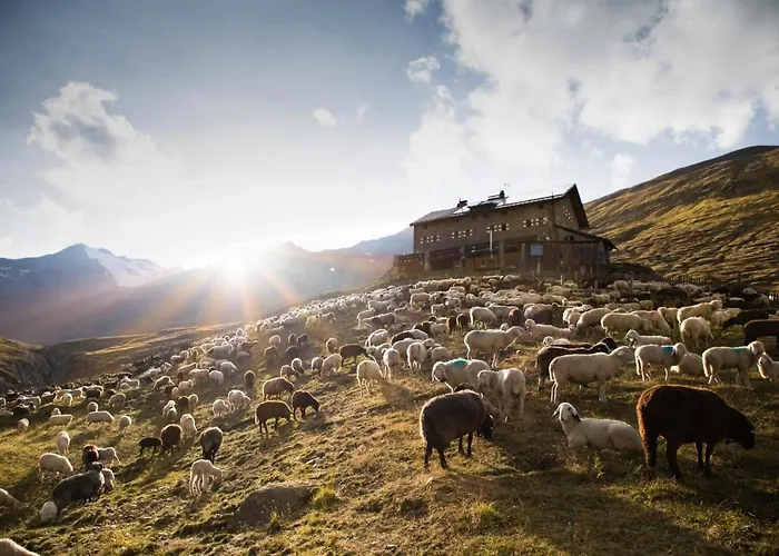 埃特维恩特洛尔酒店 3* 温特